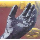 North by Honeywell F284 Viton Chemical Gloves